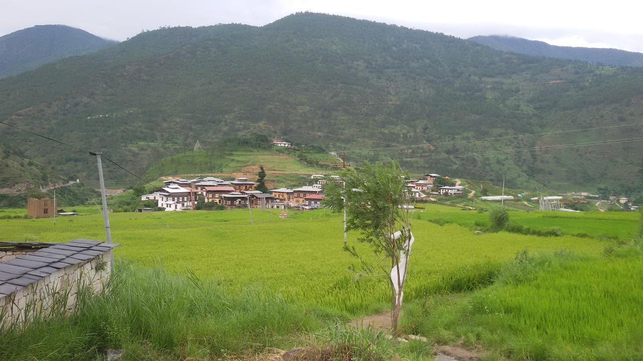 Chimi Lhakhang Village Homestay Punakha Ngoại thất bức ảnh